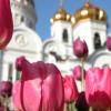 Hotelfotos Week-long Two Capitals of Russia