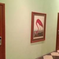 Hotelfotos Таганка Хостел и Отель