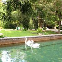 Hotelfotos Парк-Отель Шереметьевский