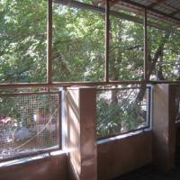 Hotel photos Safari Hostel