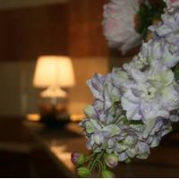 Fotos del hotel Отель Луч