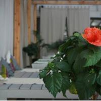 Hotel photos Luch Hotel