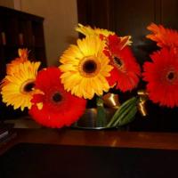 Fotos del hotel Heliopark Empire