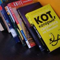 Hotel photos Bananas Hostel