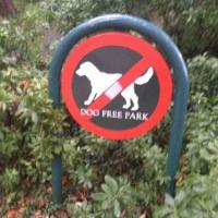 Hotel photos Eesti Airlines Hostel