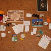 Hotel photos Chillax Hostel