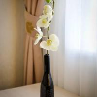 Hotel photos Volkhov Hotel