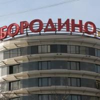 Hotelfotos Бородино