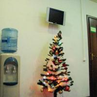 Фотографии отеля Shelter Hostel