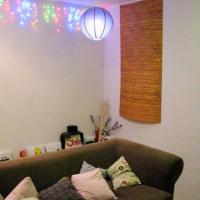 Hotelfotos Shelter Hostel