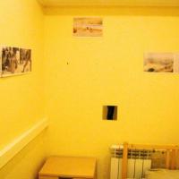 Hotelfotos Shelter Hostel