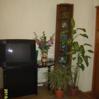 Фотографии отеля Хостел Спутник Уюта