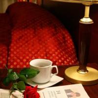Hotel photos Salut Hotel