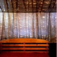 Hotel photos Cactus Hotel