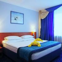 Hotel photos Izmailovo Alfa