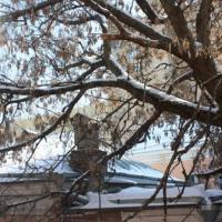 Hotel photos Skver Hotel