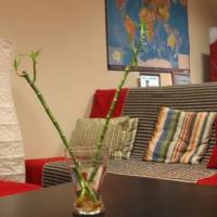 Hotelfotos Охостел