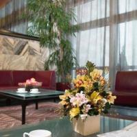Hotel photos Aerostar