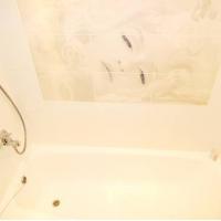 Hotelfotos Kvarthouse Apartments Smolenskaya