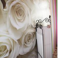 Фотографии отеля Angel House Хостел