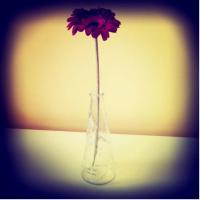 Fotos del hotel Ле Тон