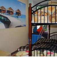 Fotos del hotel Eurasia Hostel