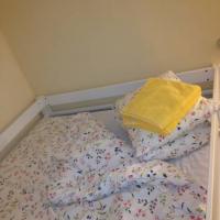 Hotel photos Hostel Narnia on Gagarinsky