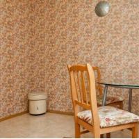 Fotos del hotel Apartment on Tretyakovskaya