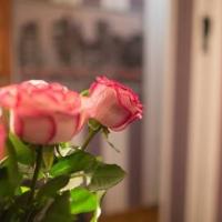 Fotos del hotel Tverskaya Loft Hotel