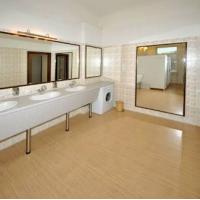 Hotelfotos Ananas Mini Hotel