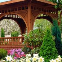 Fotos del hotel Отель Черепаха