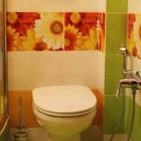 Fotos del hotel Guest House Unicorn Leningradskaya