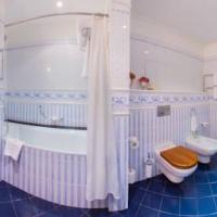 Hotel photos Radisson Royal Hotel