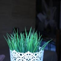 Hotel photos TimeHome on Sadovoe