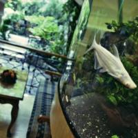 Фотографии отеля Сретенская