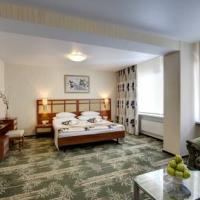 Hotel photos Izmailovo Alfa