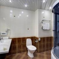 Hotel photos Izmailovo Alfa