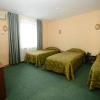 Hotel photos Airhotel Domodedovo