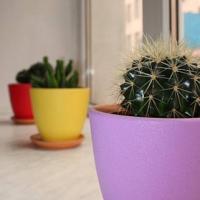 Fotos del hotel Хостел Весь Мир