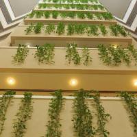 Fotos del hotel Ирис Конгресс