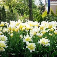 Hotel photos Oberteich Hotel