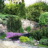 Fotos del hotel Отель Обертайх