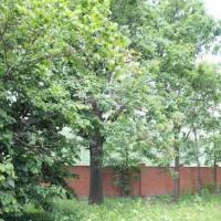 Hotelfotos Русские апартаменты в Лианозово