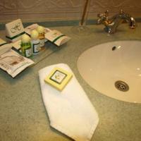 Hotel photos Assambleya Nikitskaya