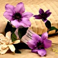 Hotelfotos Гостиный дом Версаль на Кутузовском