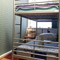 Hotel photos 3 Penguins Hostel