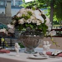 Hotelfotos Руссо Балт Отель