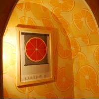 Hotelfotos Цитрус хостел