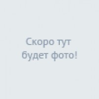 Hotelfotos Цитрус хостел