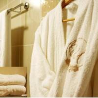 Hotel photos Park-Hotel Sheremetevsky